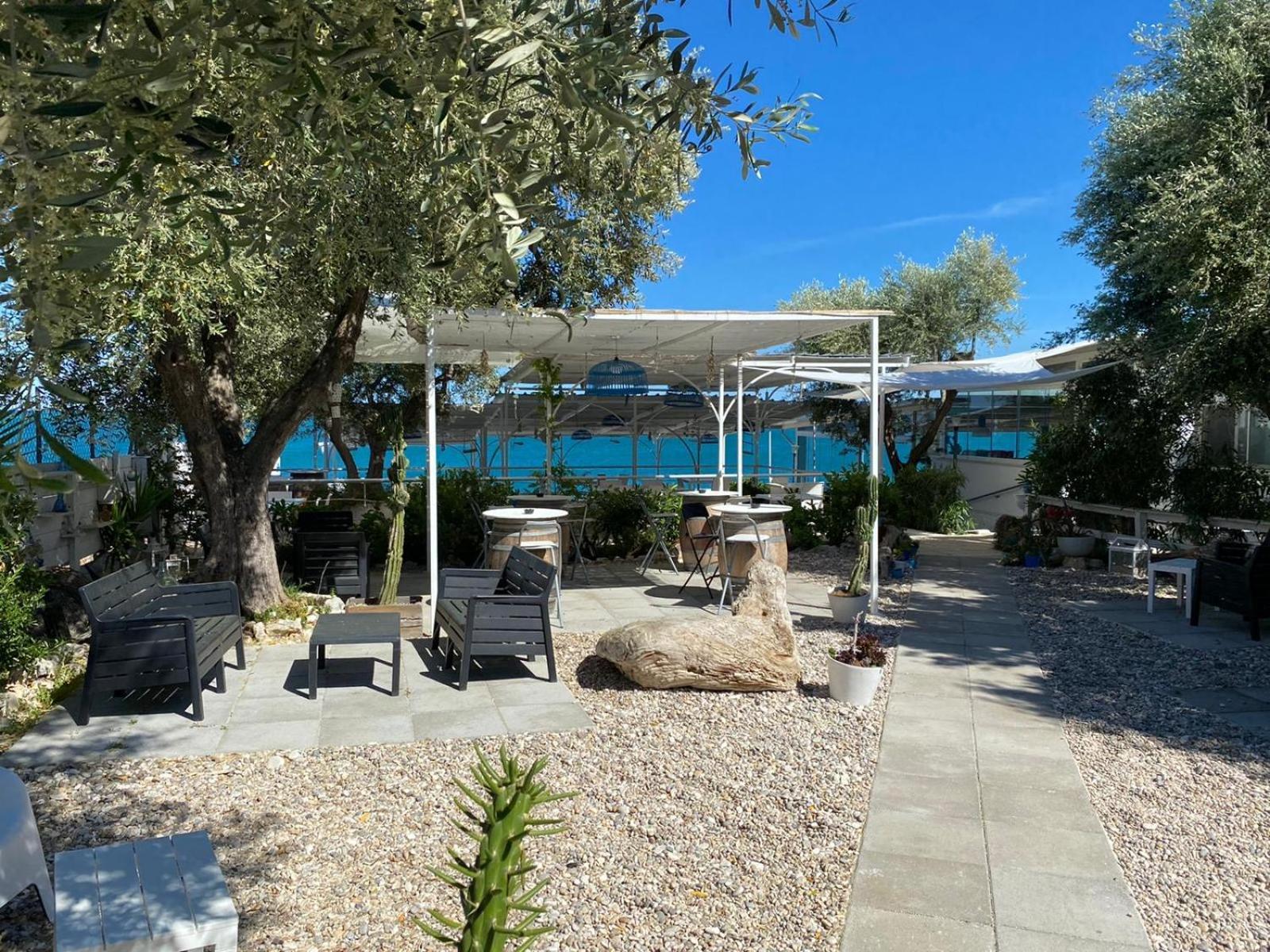 B&B Direttamente Sul Mare Da Antonino Mattinata Eksteriør billede
