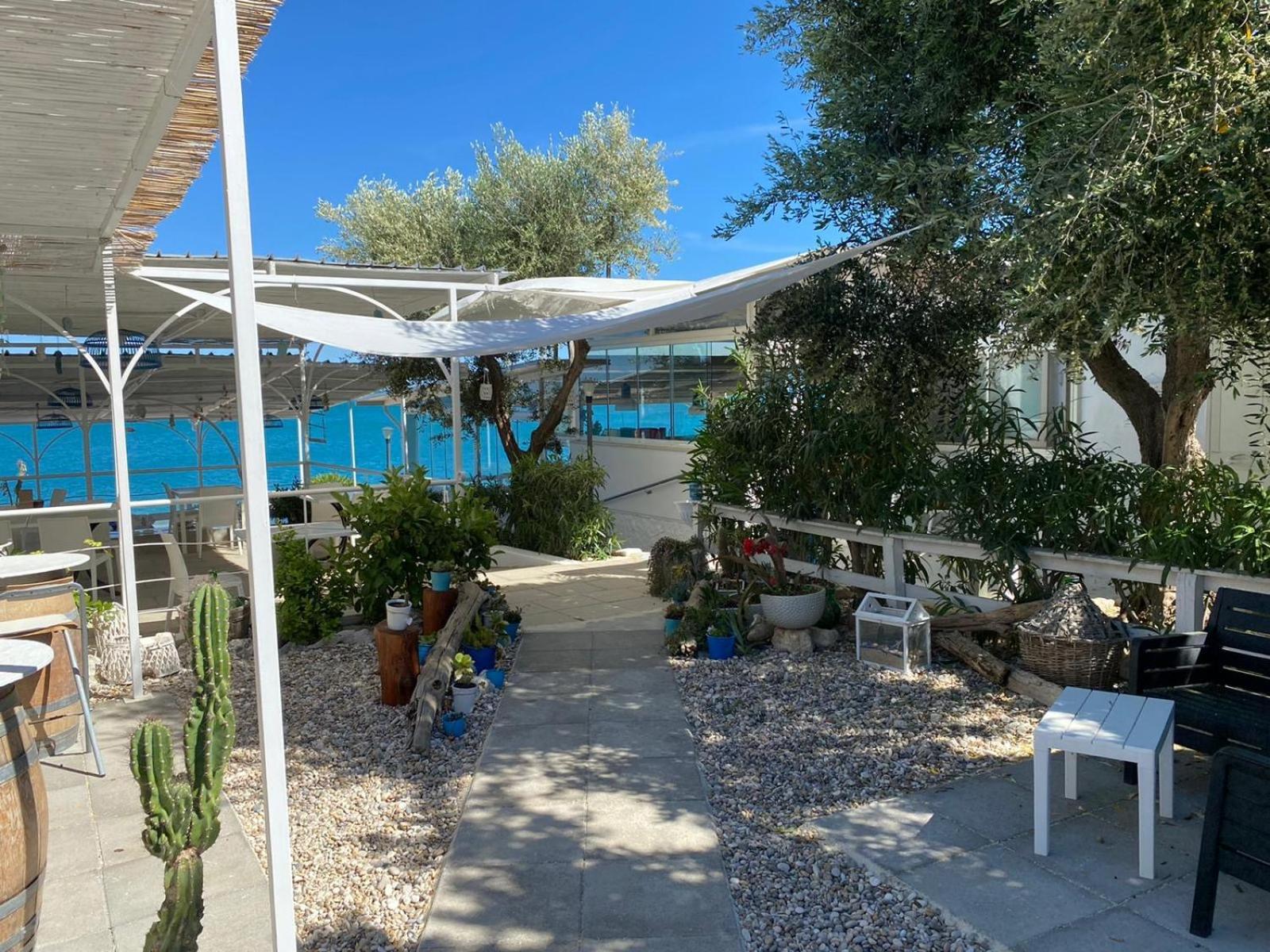 B&B Direttamente Sul Mare Da Antonino Mattinata Eksteriør billede