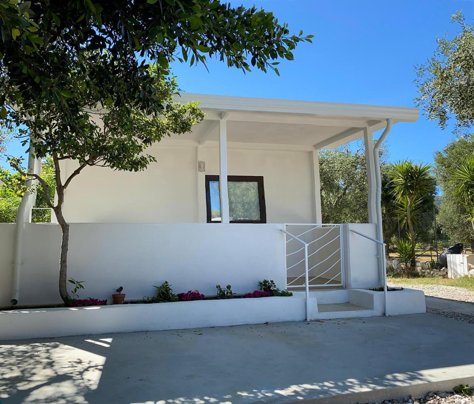 B&B Direttamente Sul Mare Da Antonino Mattinata Eksteriør billede